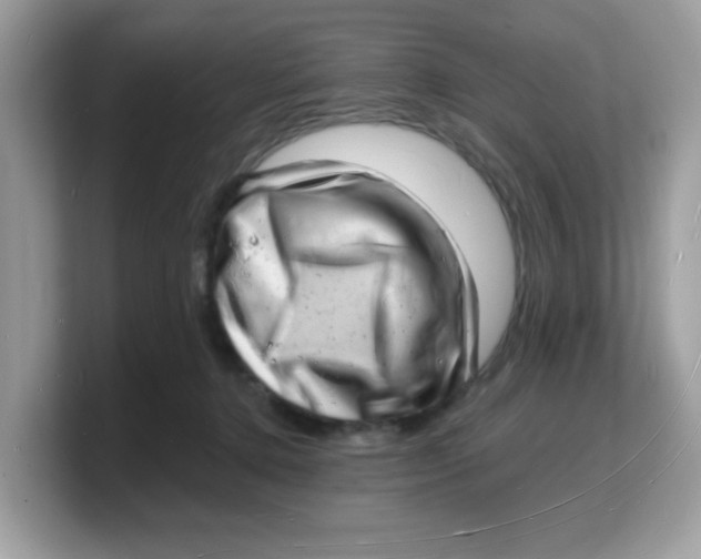 X0000103240368200809181549