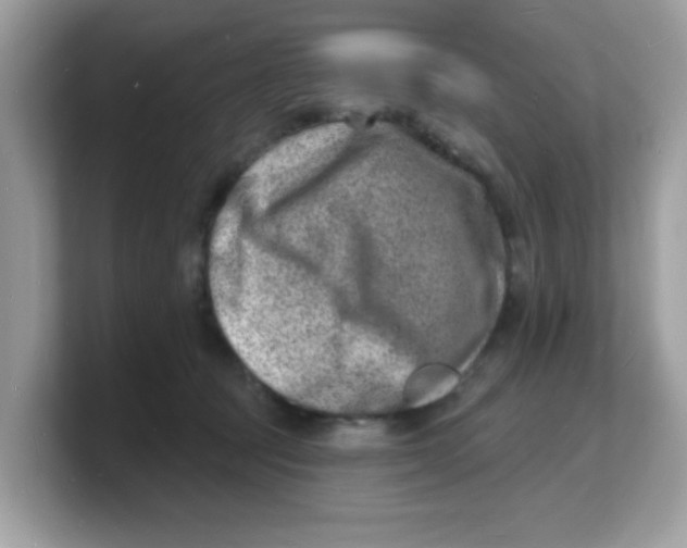 X0000103240369200809181549