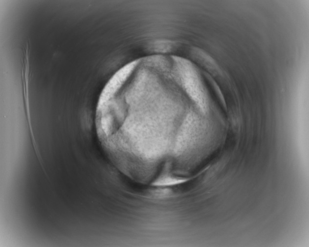 X0000103240374200809181549