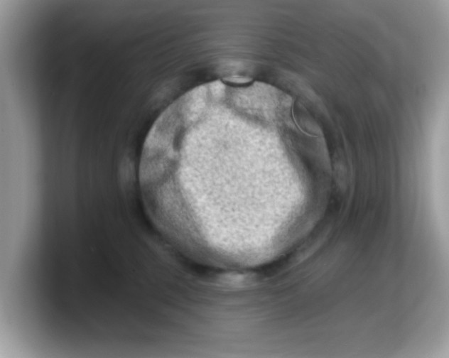 X0000103240375200809181549