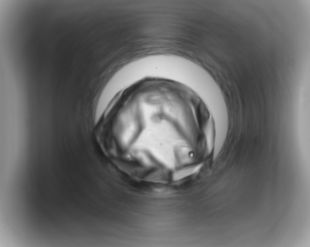 X0000103240376200809181549