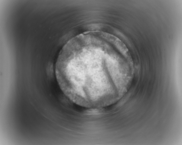 X0000103240381200809181549