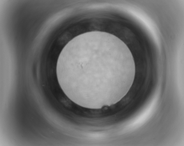 X0000103240382200809181549