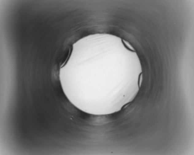 X0000103240384200809181549