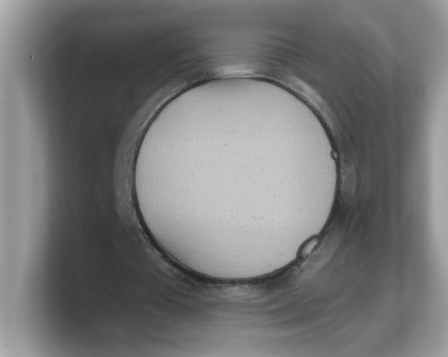 X0000103240385200809181548