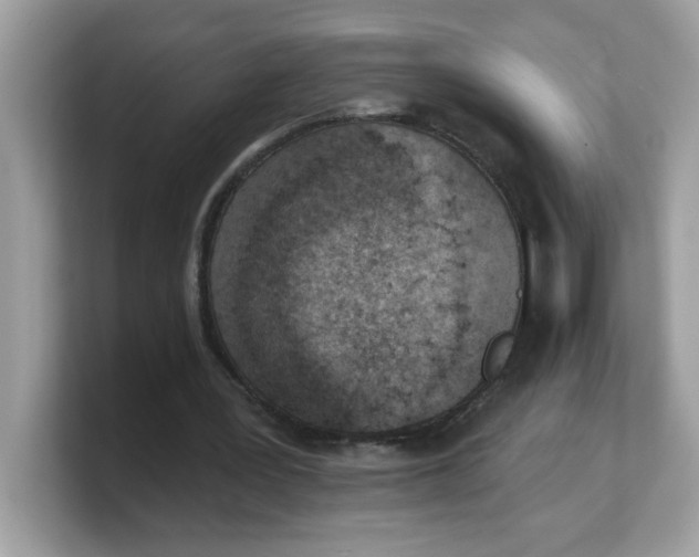 X0000103240387200809181548