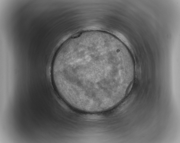 X0000103240389200809181548