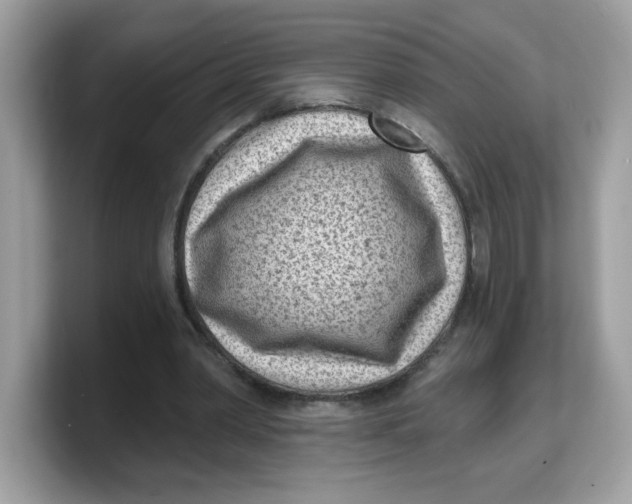 X0000103240390200809181548