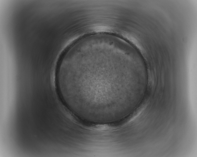 X0000103240391200809181548