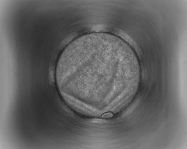 X0000103240393200809181548