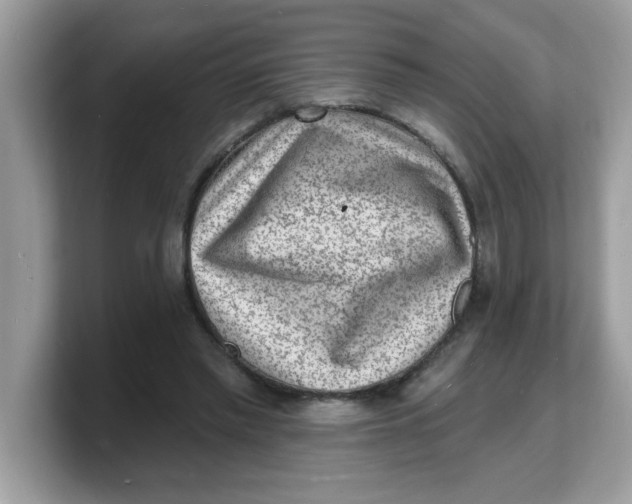 X0000103240397200809181548