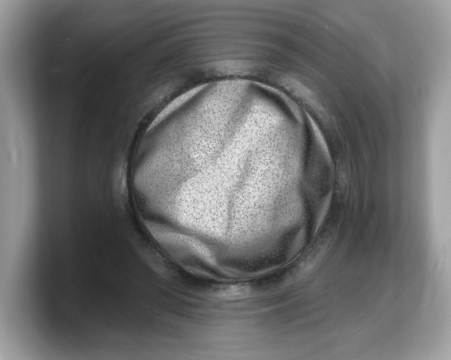 X0000103240398200809181548