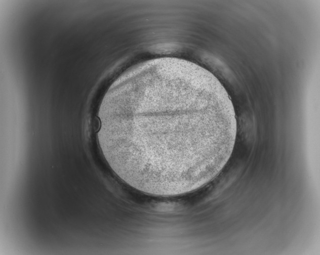 X0000103240400200809181548