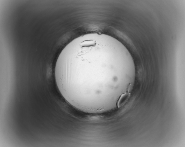 X0000103240407200809181548