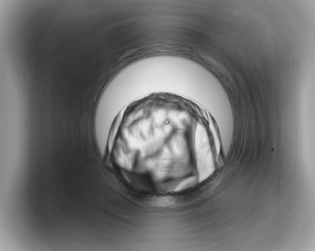 X0000103240409200809181548