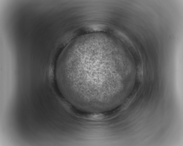 X0000103240410200809181548