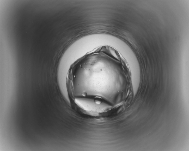 X0000103240411200809181548