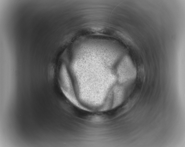 X0000103240412200809181548