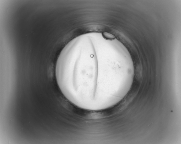 X0000103240413200809181548