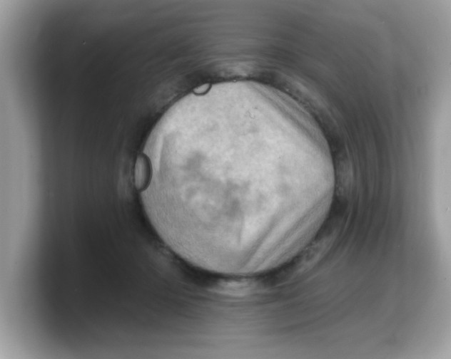 X0000103240414200809181548