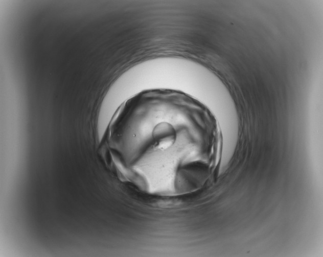 X0000103240415200809181548