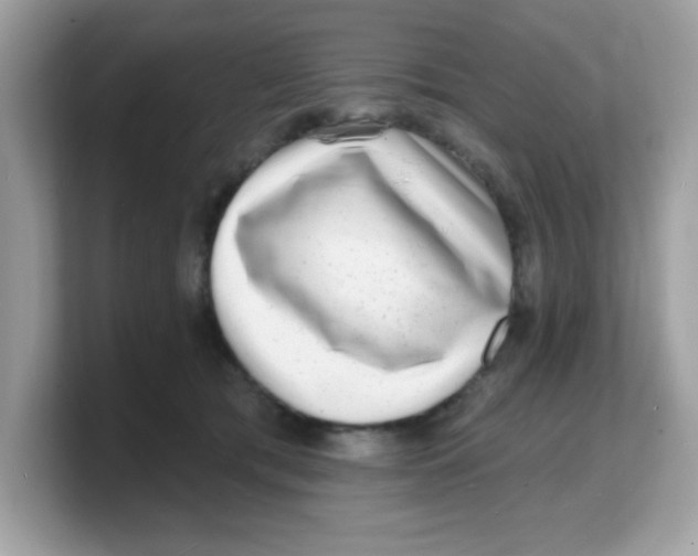 X0000103240417200809181548