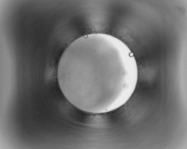 X0000103240419200809181548