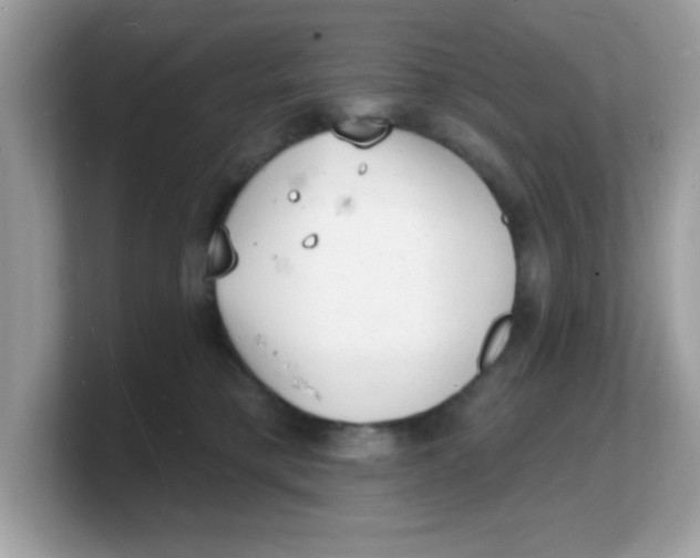 X0000103240421200809181548