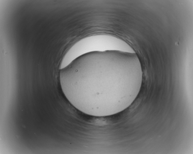 X0000103240423200809181548