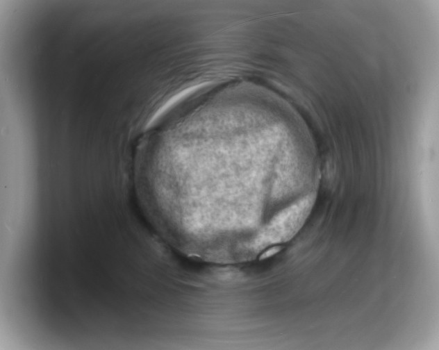 X0000103240424200809181548