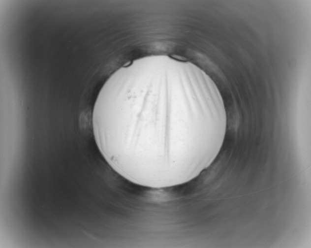 X0000103240425200809181548