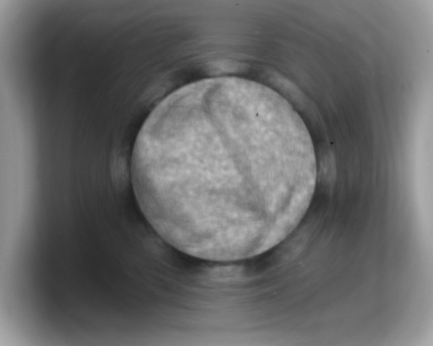 X0000103240426200809181548