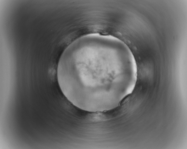 X0000103240427200809181548