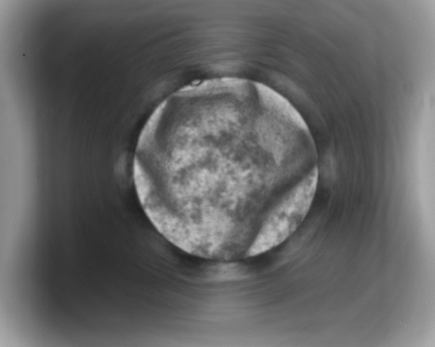 X0000103240428200809181548