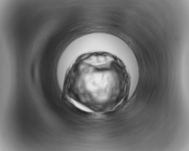 X0000103240429200809181548