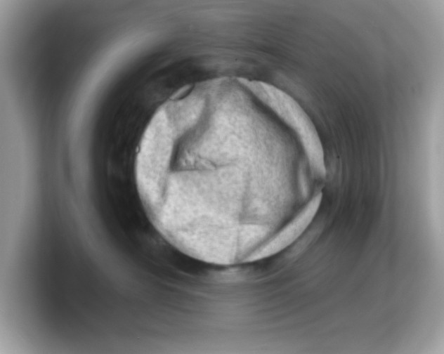 X0000103240430200809181548