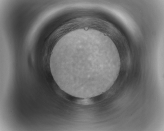 X0000103240431200809181548