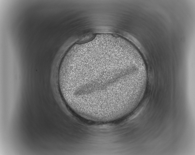 X0000103240433200809181547