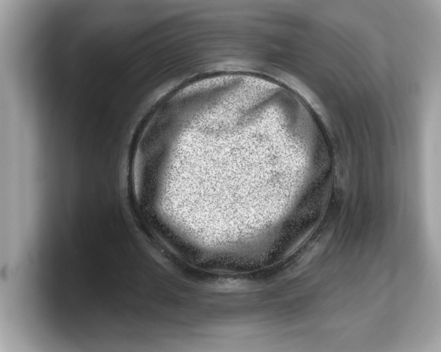 X0000103240437200809181547