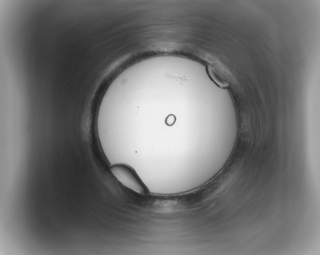 X0000103240440200809181547