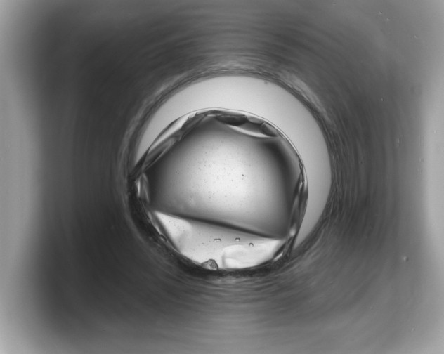 X0000103240444200809181547