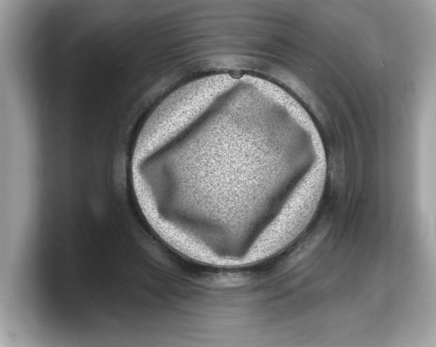 X0000103240445200809181547