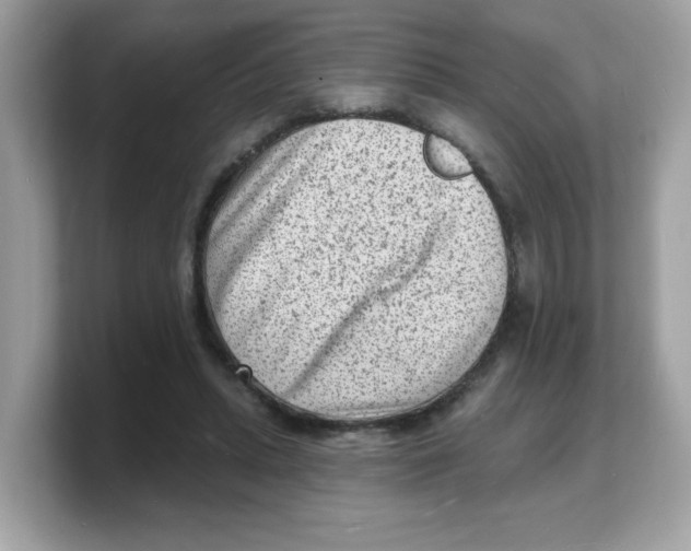 X0000103240447200809181547