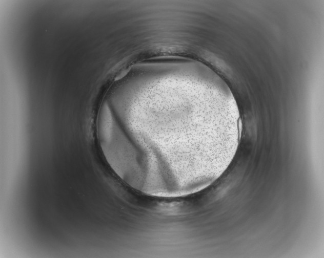 X0000103240450200809181547