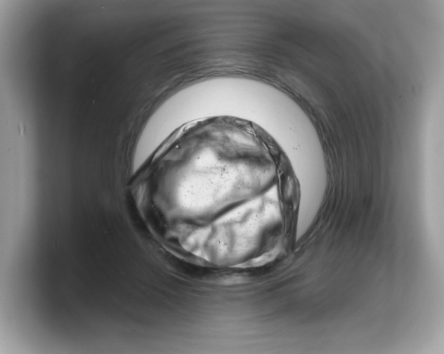 X0000103240456200809181547