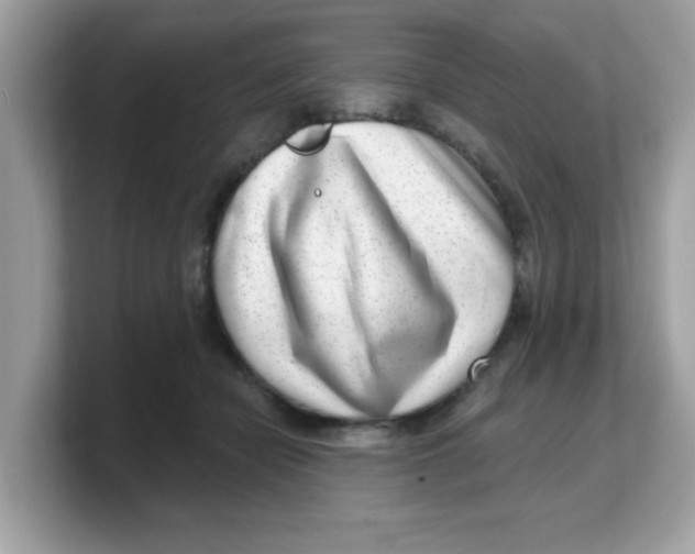 X0000103240462200809181547