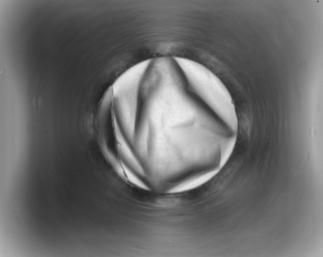 X0000103240470200809181547