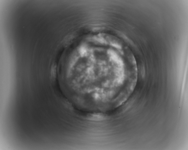 X0000103240475200809181547