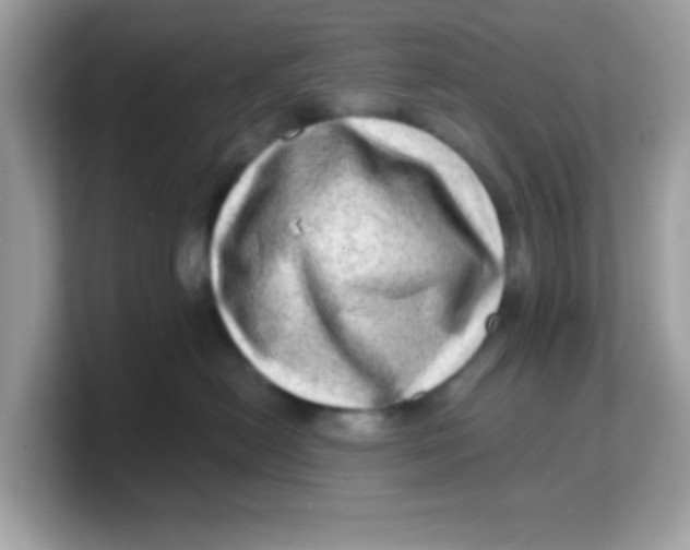 X0000103240478200809181547