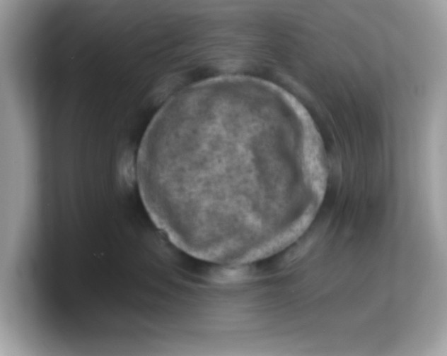 X0000103240479200809181548